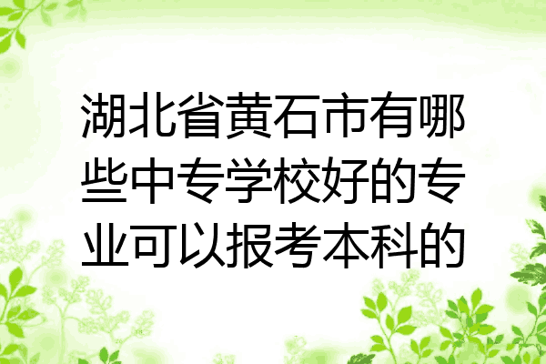湖北省黄石市有哪些中专学校好的专业可以报考本科的