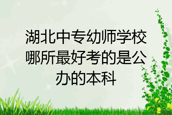 湖北中专幼师学校哪所最好考的是公办的本科