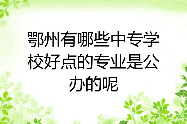 鄂州有哪些中专学校好点的专业是公办的呢