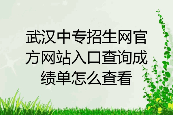 武汉中专招生网官方网站入口查询成绩单怎么查看