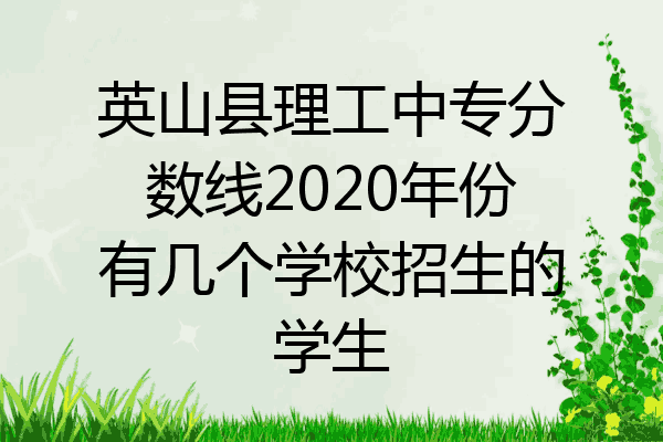 英山县理工中专分数线2020年份有几个学校招生的学生