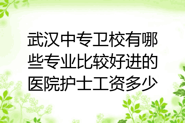 武汉中专卫校有哪些专业比较好进的医院护士工资多少