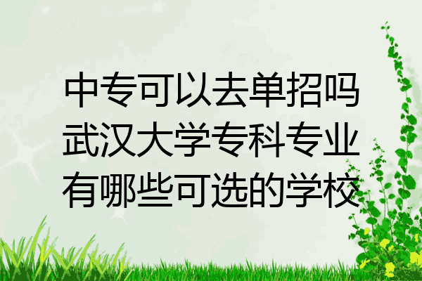 中专可以去单招吗武汉大学专科专业有哪些可选的学校