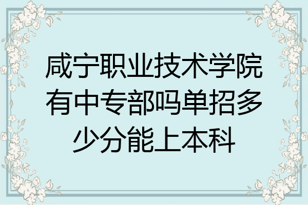 咸宁职业技术学院有中专部吗单招多少分能上本科