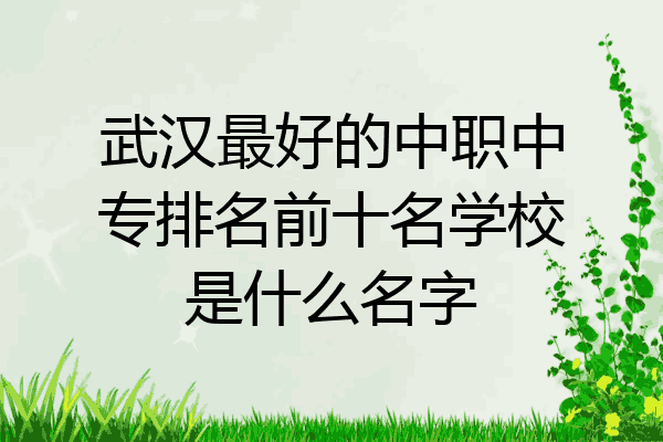 武汉最好的中职中专排名前十名学校是什么名字
