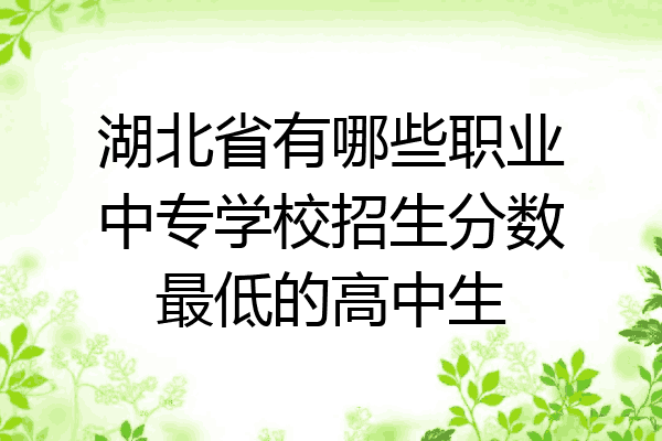 湖北省有哪些职业中专学校招生分数最低的高中生