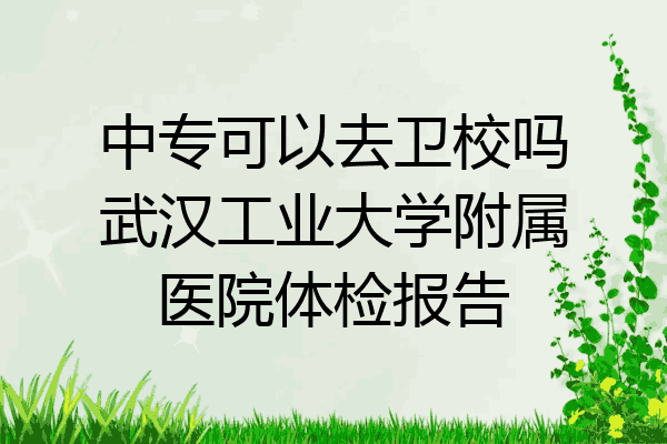 中专可以去卫校吗武汉工业大学附属医院体检报告