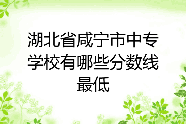 湖北省咸宁市中专学校有哪些分数线最低