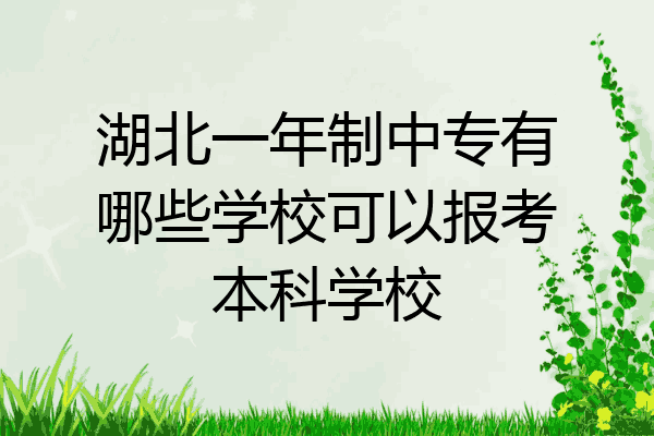 湖北一年制中专有哪些学校可以报考本科学校