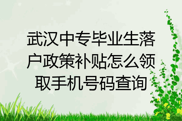 武汉中专毕业生落户政策补贴怎么领取手机号码查询
