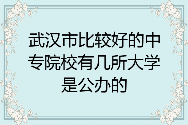 武汉市比较好的中专院校有几所大学是公办的