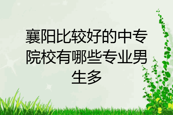 襄阳比较好的中专院校有哪些专业男生多