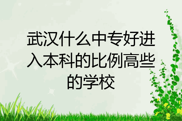 武汉什么中专好进入本科的比例高些的学校