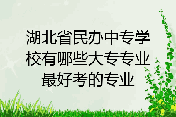 湖北省民办中专学校有哪些大专专业最好考的专业