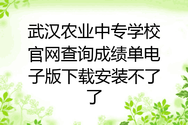 武汉农业中专学校官网查询成绩单电子版下载安装不了了