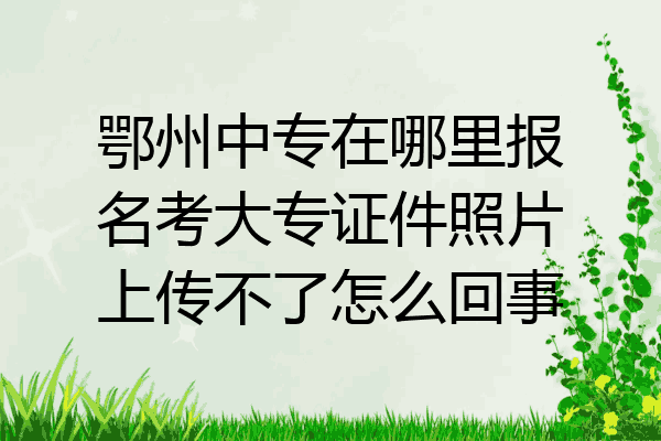 鄂州中专在哪里报名考大专证件照片上传不了怎么回事