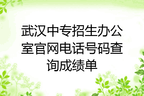 武汉中专招生办公室官网电话号码查询成绩单
