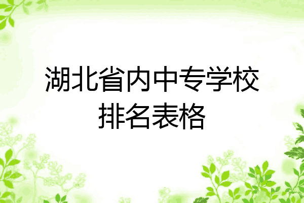 湖北省内中专学校排名表格