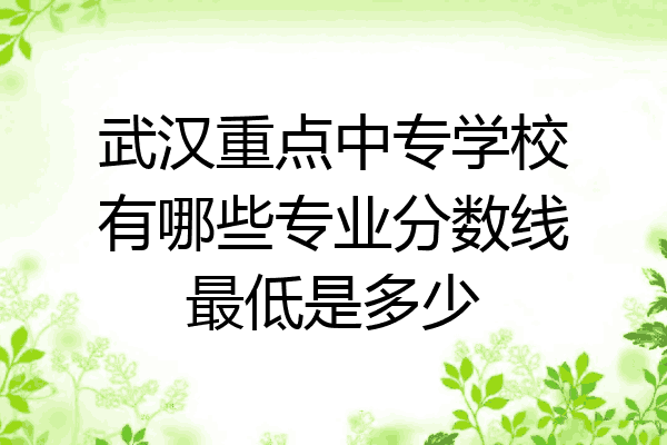 武汉重点中专学校有哪些专业分数线最低是多少