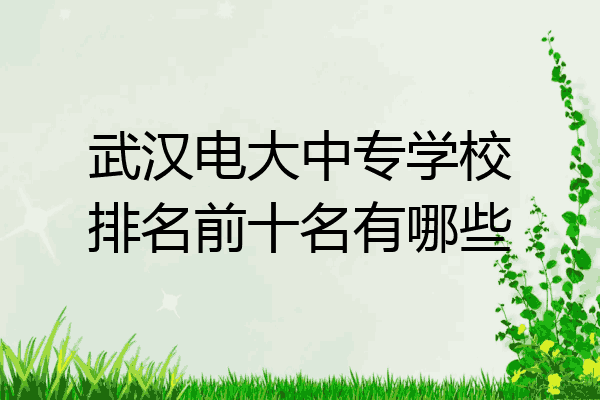 武汉电大中专学校排名前十名有哪些