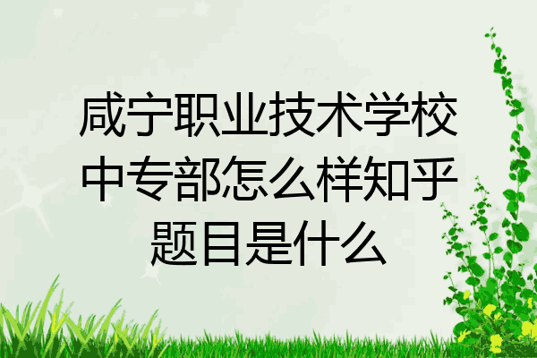 咸宁职业技术学校中专部怎么样知乎题目是什么