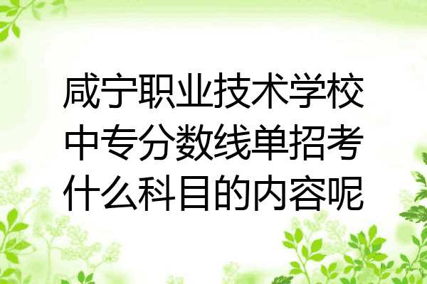 咸宁职业技术学校中专分数线单招考什么科目的内容呢