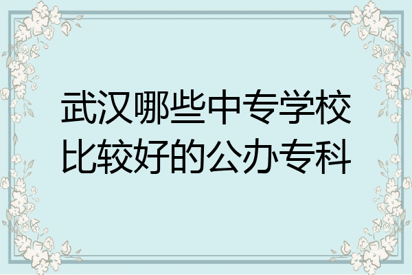 武汉哪些中专学校比较好的公办专科
