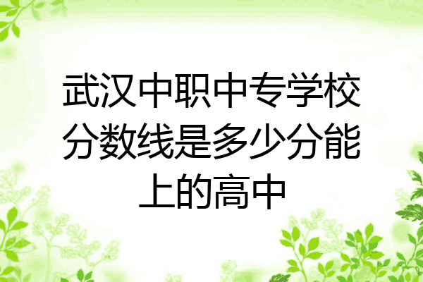 武汉中职中专学校分数线是多少分能上的高中