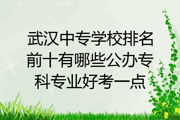 武汉中专学校排名前十有哪些公办专科专业好考一点