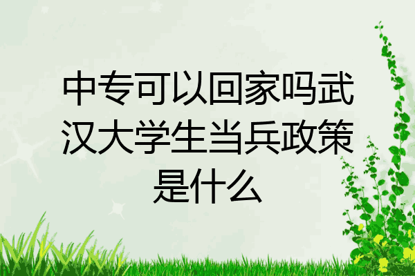 中专可以回家吗武汉大学生当兵政策是什么