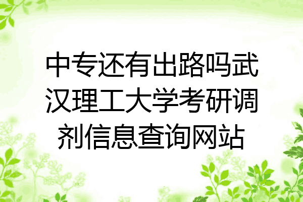 中专还有出路吗武汉理工大学考研调剂信息查询网站