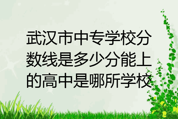 武汉市中专学校分数线是多少分能上的高中是哪所学校