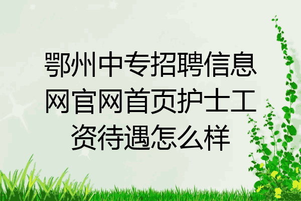 鄂州中专招聘信息网官网首页护士工资待遇怎么样