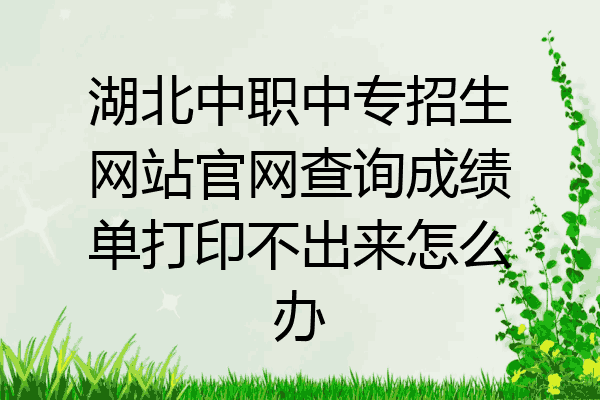 湖北中职中专招生网站官网查询成绩单打印不出来怎么办