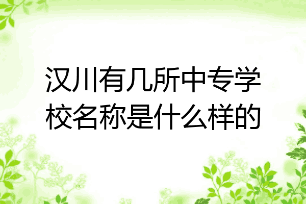 汉川有几所中专学校名称是什么样的