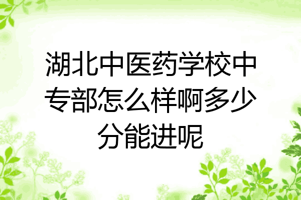湖北中医药学校中专部怎么样啊多少分能进呢