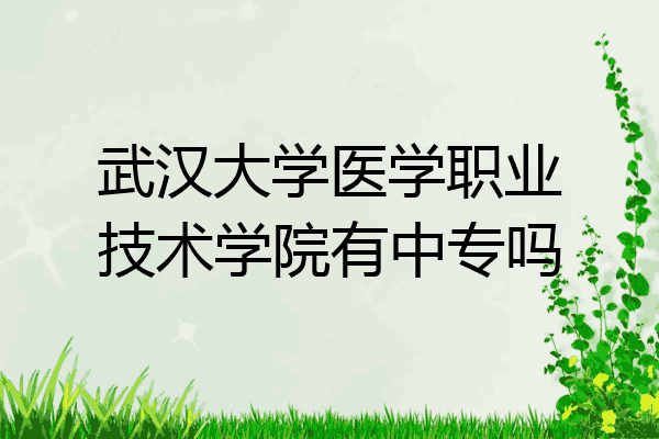 武汉大学医学职业技术学院有中专吗