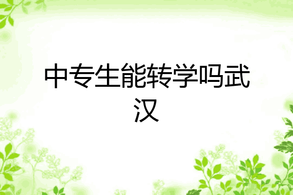 中专生能转学吗武汉