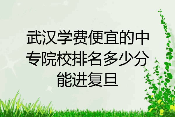 武汉学费便宜的中专院校排名多少分能进复旦