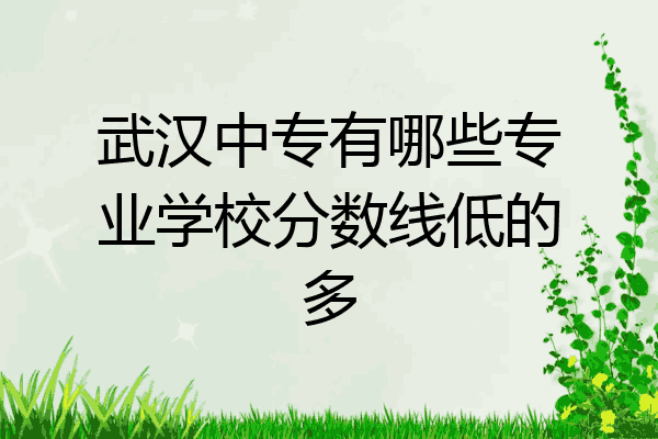 武汉中专有哪些专业学校分数线低的多