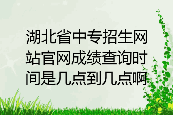 湖北省中专招生网站官网成绩查询时间是几点到几点啊