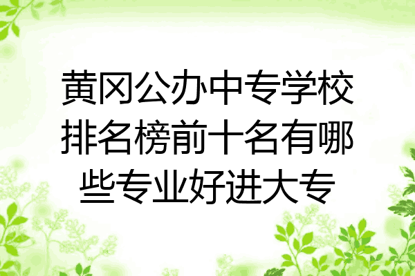 黄冈公办中专学校排名榜前十名有哪些专业好进大专