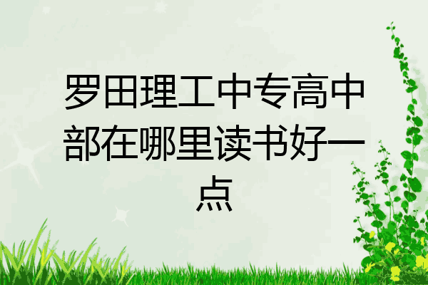 罗田理工中专高中部在哪里读书好一点