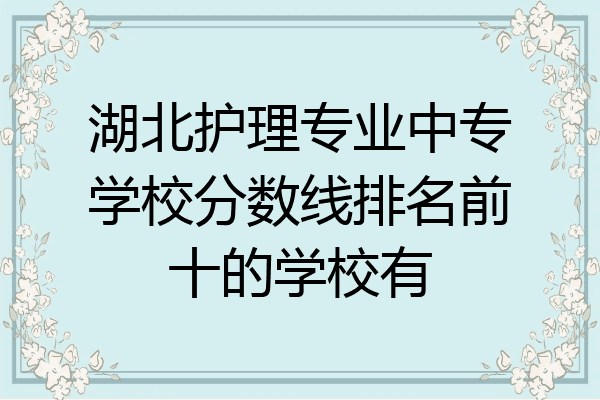 湖北护理专业中专学校分数线排名前十的学校有