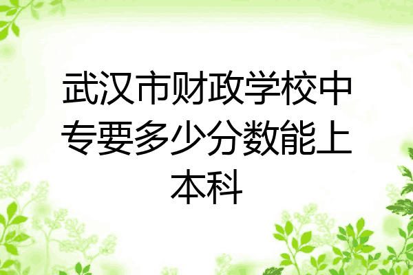 武汉市财政学校中专要多少分数能上本科