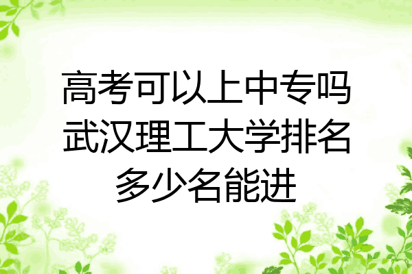 高考可以上中专吗武汉理工大学排名多少名能进