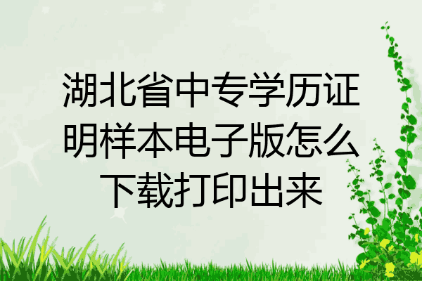 湖北省中专学历证明样本电子版怎么下载打印出来