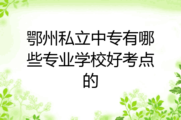 鄂州私立中专有哪些专业学校好考点的