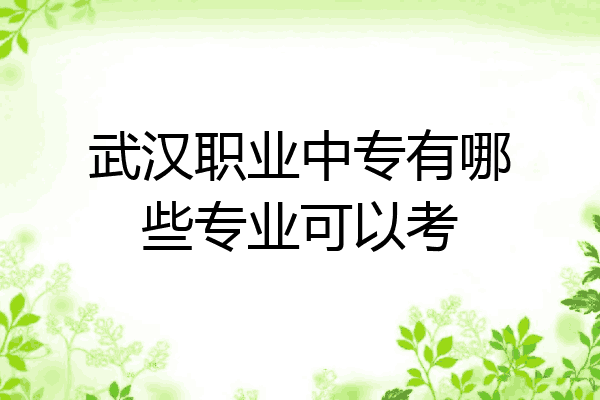 武汉职业中专有哪些专业可以考