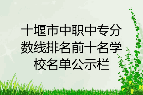 十堰市中职中专分数线排名前十名学校名单公示栏